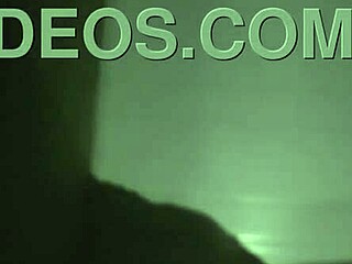 Subtle Allure Of Roludo Engaging With Adventurous Companion