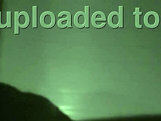 Subtle Allure Of Roludo Engaging With Adventurous Companion