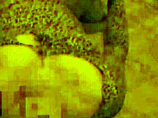 i let this single guy spread my latina wife legs wide at party and he pounded her doggystyle hard