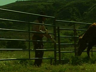 brooke ballentyne still has her riding chaps on as she gets creampied in doggystyle anal with monster cock facial and riding