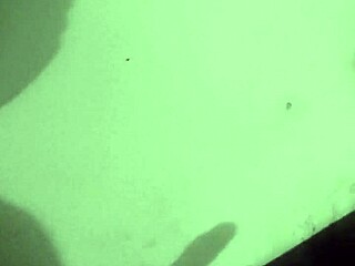 Perfect Blowjob Creampie