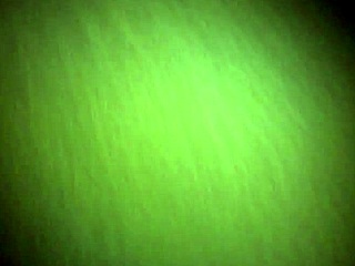 ebony amateur homemade oral has her black lips wrapped around cock loving every inch