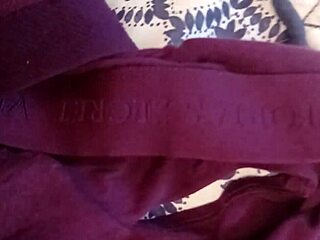 Victoria's Secret Lingerie Teases Dirty Curves