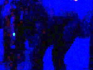 EBONY babe STRIPS LINGERIE outdoors, RIPS clothes for public tease