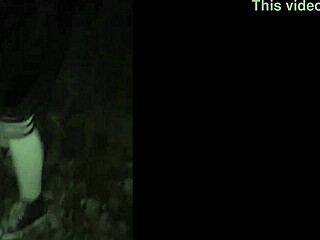 These public sluts flash their tits and pussies while out trick or treating on the street