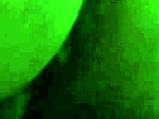 Neighbor's Secret Backyard And Indoor Tryst