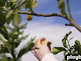 i cant believe perfect big ass teen model hayli sanders strips skirt showin all