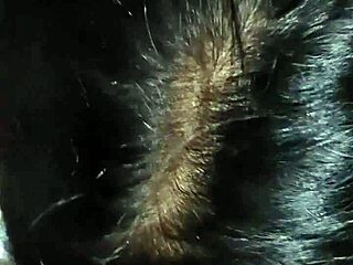 wanna see me pound my stepsister's tight ass hard?