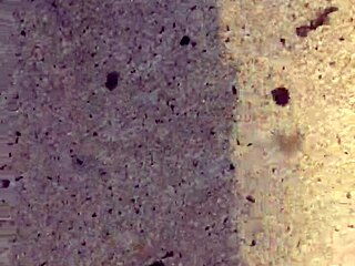 you love these dirty calloused barefoot soles right?