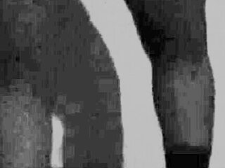 hotwife dancing halloween treats or tricks with naughty cosplay tease