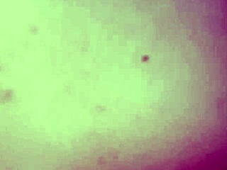 Blonde Italian Wife Flashes Big Nipples For Ex And Husband In Voyeur Cuckold Creampie Swingers Photoshoot