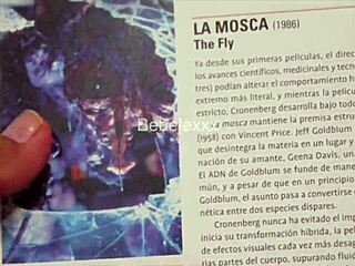 Bebelexxx Latina cutie bent over doggystyle with dildo up ass cum on cheeks