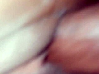 Your black girlfriend's small tits need my cock right now