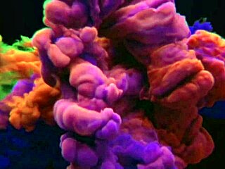 Red pube preacher paid and got hooked on my ass