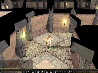 FUCK TITS NUDE IN NEVERWINTER NIGHTS MOD QUESTLINE!