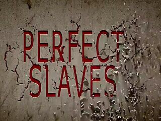 interviewed chanel pre and post scene with pussy slaps gagging deepthroat and full submission