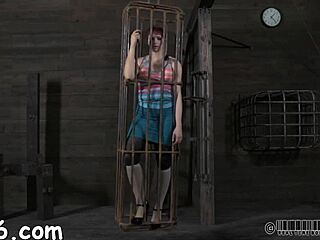 wanna see these s&m poses turn into wild doggystyle pounding contest?