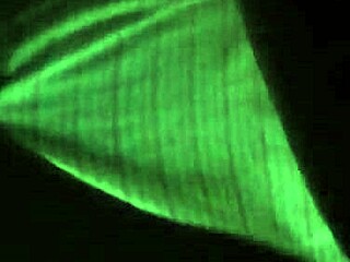 chubby mature babe fingers herself while giving wet bj