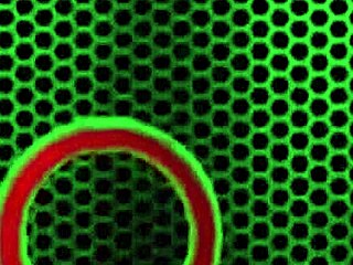 Gabby Quinteros Gulps Cum After Wild Milf Fuck