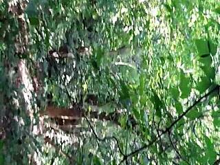 Licking Brunette Pussy in Forest Till Explosive Orgasm