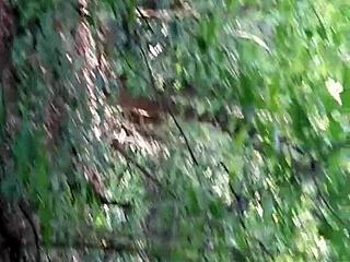 Licking Brunette Pussy in Forest Till Explosive Orgasm