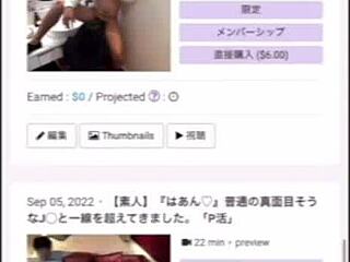 japanese pair chills on sofa getting cozy