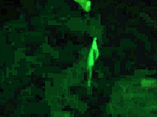 Meagan Tandy Ebony Delivers Perfect Ballbusting Kick Groin Knee Dc Batwoman Tv Serie Season 1 Ruby Rose