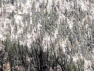 i'm mother-in-law craving fat bbw deepthroat on monster cock