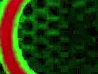 hey wanna watch rome major glaze kate faucett's face after pounding her big ass?