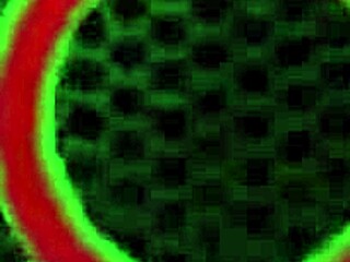 julia ann spreads wide while nicki hunter fingers her wet milf pussy 👅💦