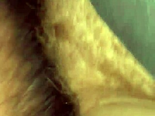 couple enjoys raw outdoor pussy pounding right on the car hood