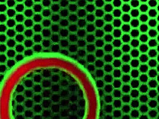 sara jay dominates lauren phillips juicy ginger pussy