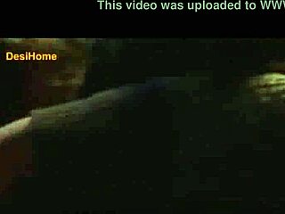 Tara Alisha's Navel Kiss Ignites Temptation