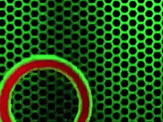 Lauren Phillips' Huge Wet Pussy Lips Spread Wide For Lick And Finger In Lesbian Kiss Fest