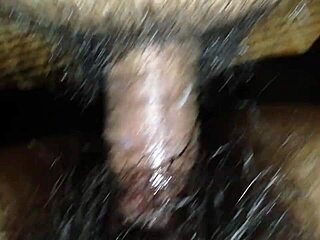 Sexy Anal Assfucking with Lots of Hot Pussy Action