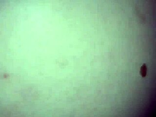 my tgirl friend's big tits and ass drive me wild