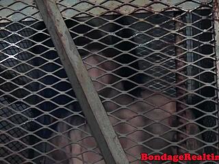 Bound redhead nipples clamped deepthroated vibrated closeup