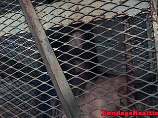 Bound redhead nipples clamped deepthroated vibrated closeup