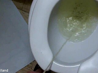 nikki's t-ladies dominate the toilet ladyboy scene