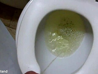 nikki's t-ladies dominate the toilet ladyboy scene