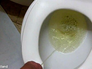 nikki's t-ladies dominate the toilet ladyboy scene