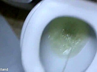 nikki's t-ladies dominate the toilet ladyboy scene