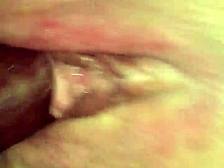 bbc the don slams thick bbw's fat ass hard