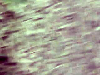 dotados flooding bushes with cum in wild hairy group fuck?