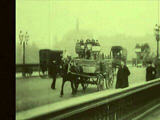 Vintage Erotic Art Showcases Hairy Retro Beavers Up Close