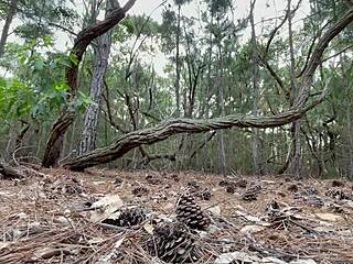 damn that adrenaline has me rubbing my brazilian ass solo