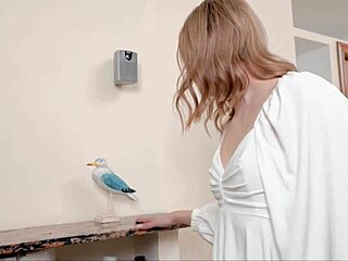 brunette relaxes fingering shaved tits with toy inside