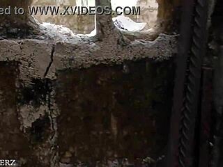 German Ebony Wife Bent Over for Hardcore Outdoor Cumshot Doggystyle