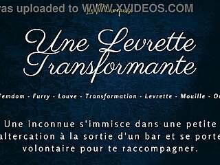 french furry crossdresses for wild levrette pounding with transforming moans