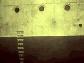 check out this hairy pussy beaver in steamy vintage erotic retro homemade scene